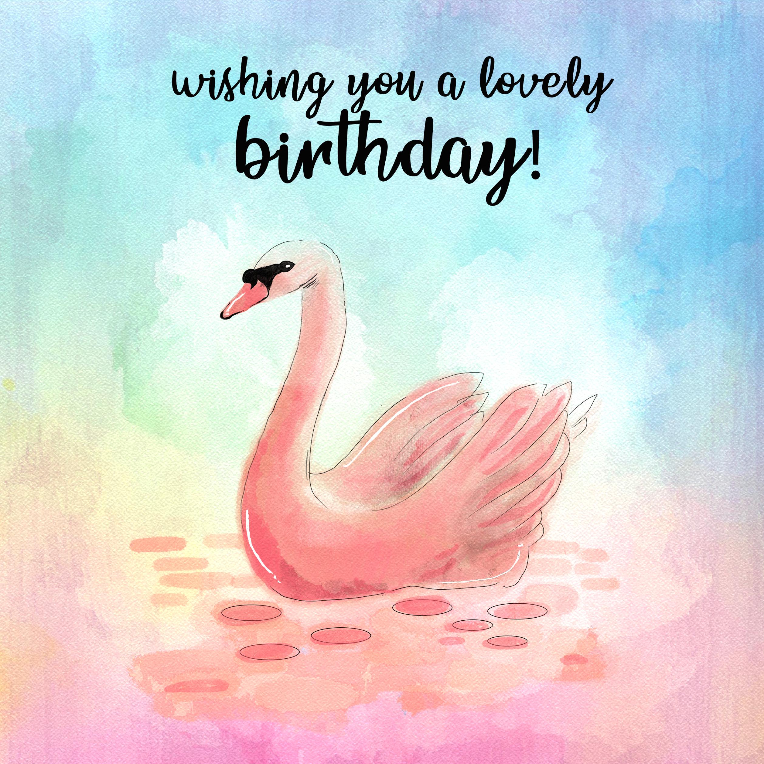 Watercolour Swan Happy Birthday Confettiexploding Greetings Card Boomf