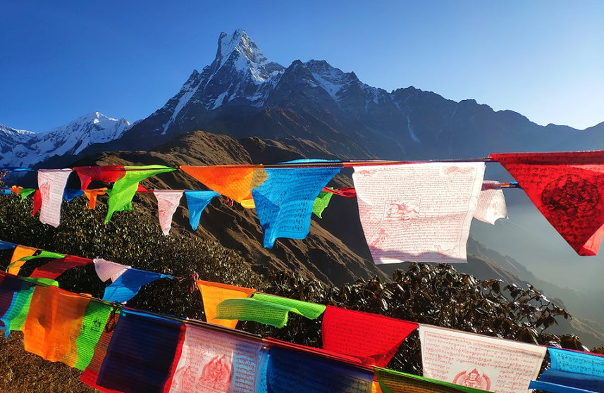 Red Cross Nepal Disaster Campaign