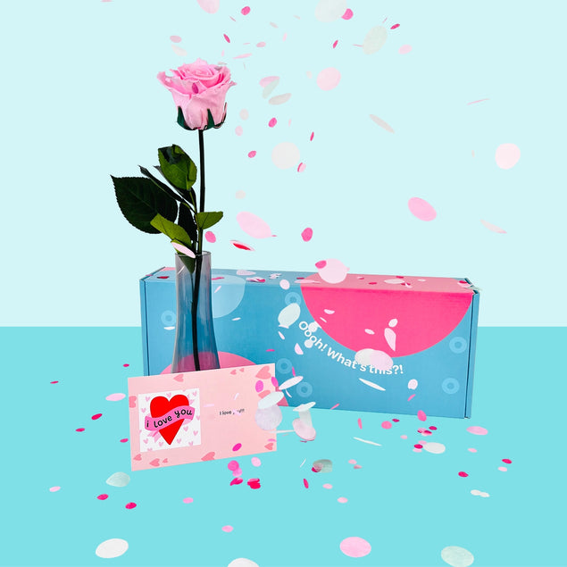 Confetti-Exploding Eternity Rose Box - Pink