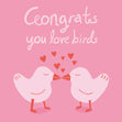 Congrats You Love Birds Wedding/Engagement Confetti-exploding Greetings Card