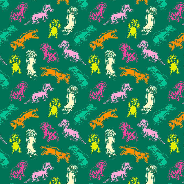 Colourful Dachshund Confetti-exploding Greetings Card