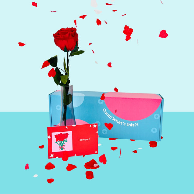 Confetti-Exploding Eternity Rose Box - Red