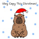 Stay Capy This Christmas Confetti-exploding Greetings Card