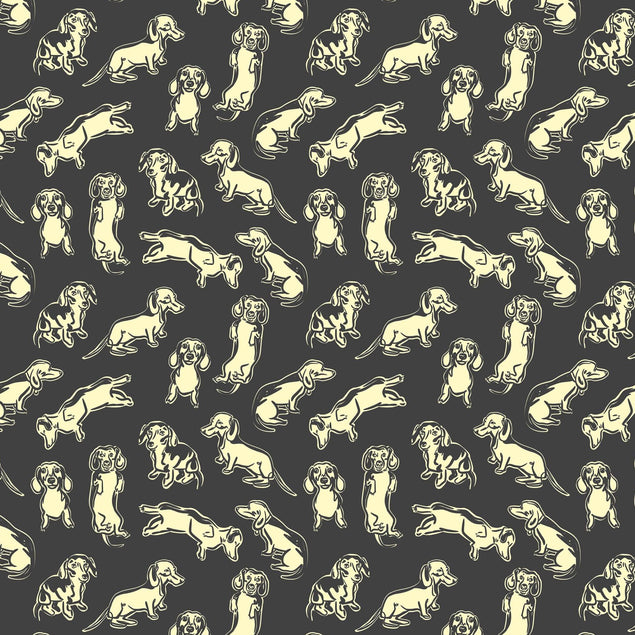 Black And White Dachshund Confetti-exploding Greetings Card