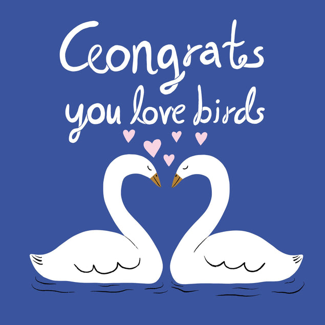 Congrats You Love Birds Swan Wedding/Engagement Confetti-exploding Greetings Card