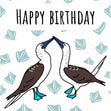 Blue Footed Boobies Birthday Confetti-exploding Greetings Card