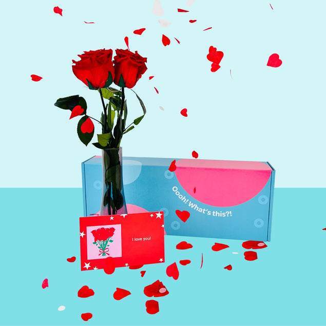 Confetti-Exploding Eternity Rose Box - Red