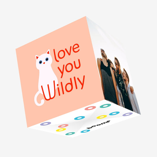Love You Wildly Valentines Cat Orange Confetti-exploding Greetings Card