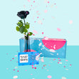 Confetti-Exploding Eternity Rose Box - Black