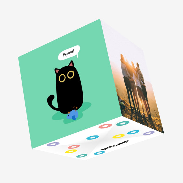 Black Cat And Bird Birthday Confetti-exploding Greetings Card