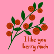 I Like You Berry Much Confetti-exploding Greetings Card