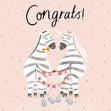 Congrats Zebra Wedding Confetti-exploding Greetings Card