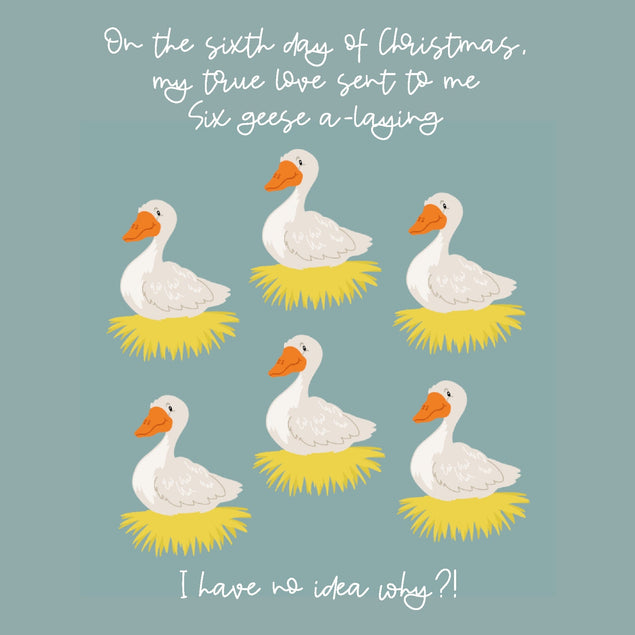 6 Geese A-laying 12 Days Of Christmas Confetti-exploding Greetings Card