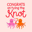 Tying The Knot Octopuses Wedding Confetti-exploding Greetings Card