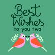 Best Wishes Love Birds Green Confetti-exploding Greetings Card