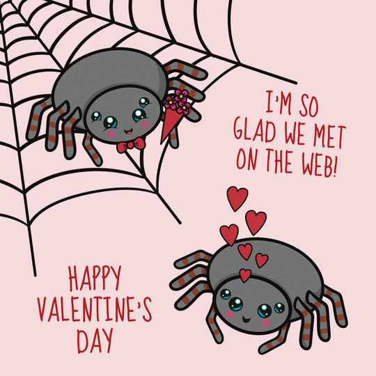 Glad We Met On The Web Funny Valentine's Day Card