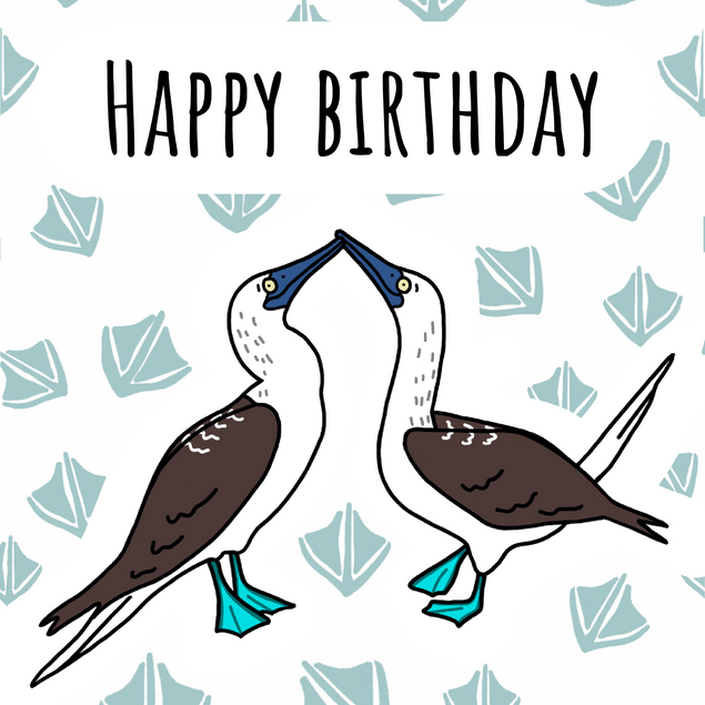 Blue Footed Boobies Birthday Confetti-exploding Greetings Card