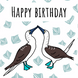Blue Footed Boobies Birthday Card