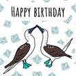 Blue Footed Boobies Birthday Card