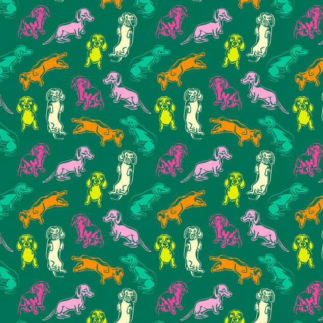 Colourful Dachshund Card