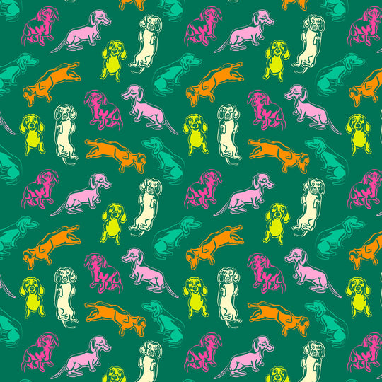 Colourful Dachshund Card