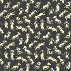 Black And White Dachshund Card