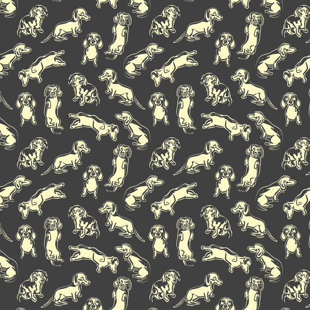 Black And White Dachshund Card