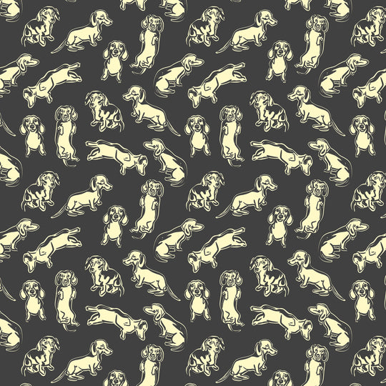 Black And White Dachshund Card