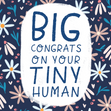 Big Congrats On Your Tiny Human - New Baby Card