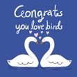 Congrats You Love Birds Card