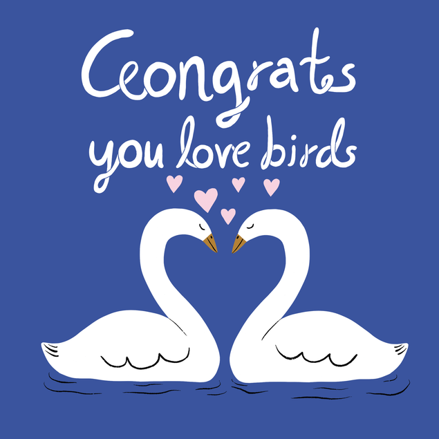 Congrats You Love Birds Card