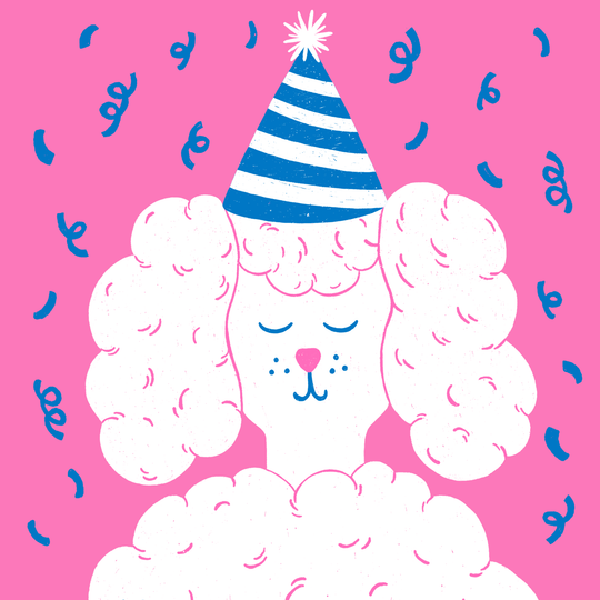 Party Poodle Birthday Card