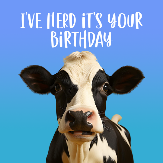 I've Herd It's Your Birthday Funny Cow Card