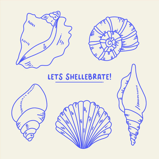 Let's Shellebrate! Seashells Pun Card
