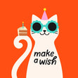 Make A Wish Cool Cat With A Cake Slice Birthday Card
