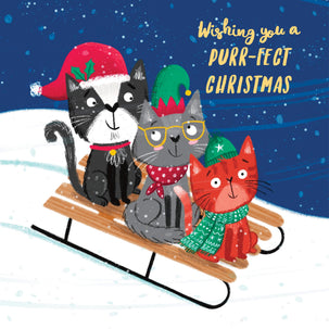 Purr-fect Christmas - Cats Sledge Card