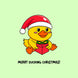 Merry Ducking Christmas! Card
