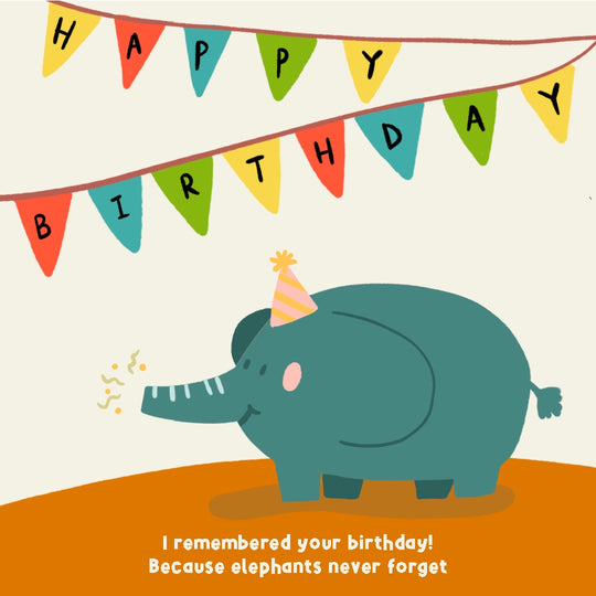 Funny Elephant Birthday Card