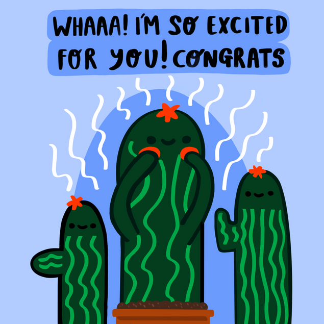 So Excited For You - Cacti Congratulations Confetti-exploding Greeting ...
