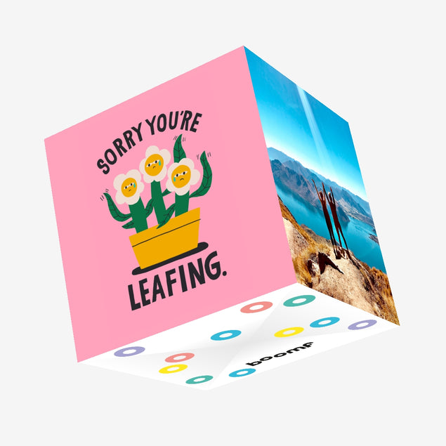 Sorry You're Leafing Confetti-exploding Greetings Card