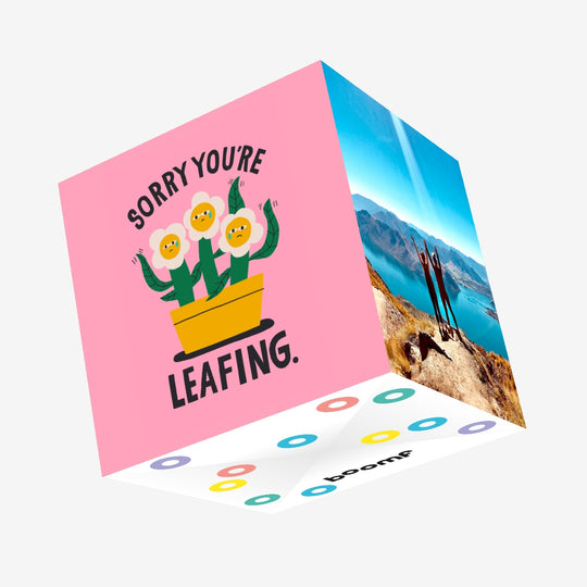 Sorry You're Leafing Confetti-exploding Greetings Card