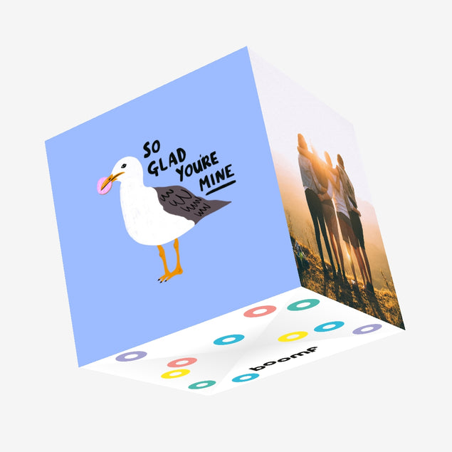 So Glad You're Mine Funny Seagull Confetti-exploding Greetings Card