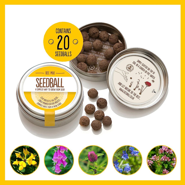 Seedball 3 Tin Giftbox