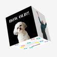 How Old?! Funny Dog Birthday Confetti-exploding Greetings Card