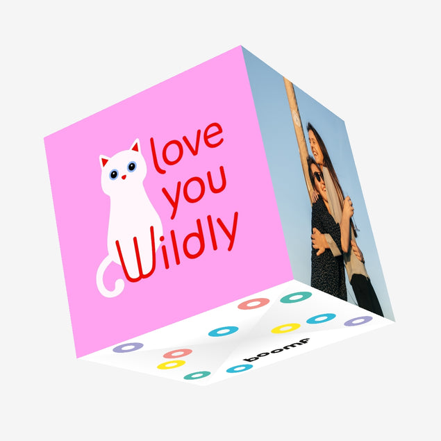 Love You Wildly Valentines Cat Pink Confetti-exploding Greetings Card