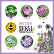Seedball 3 Tin Giftbox