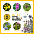 Seedball 3 Tin Giftbox
