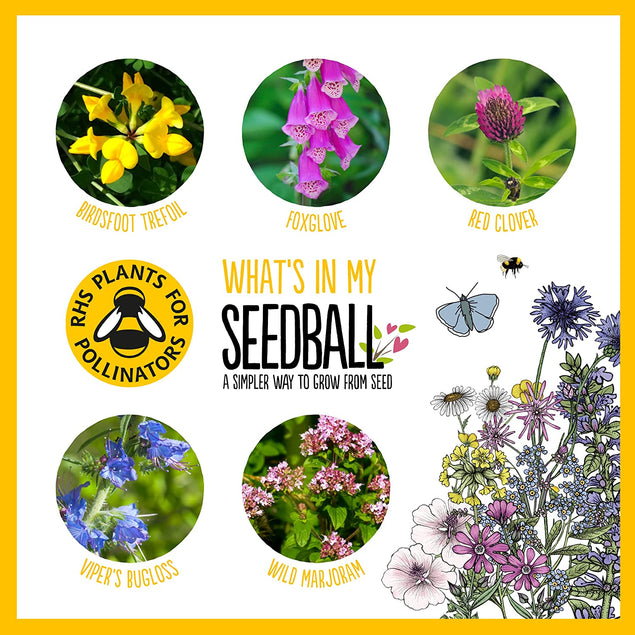 Seedball 3 Tin Giftbox