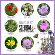 Seedball 3 Tin Giftbox