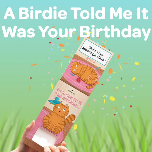 A Little Birdie Told Me It Was Your Birthday... Cannon Confetti Shooter Card